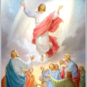 Meet your Posher, Jay